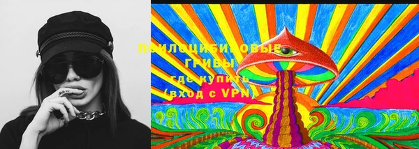 кокс Алексин
